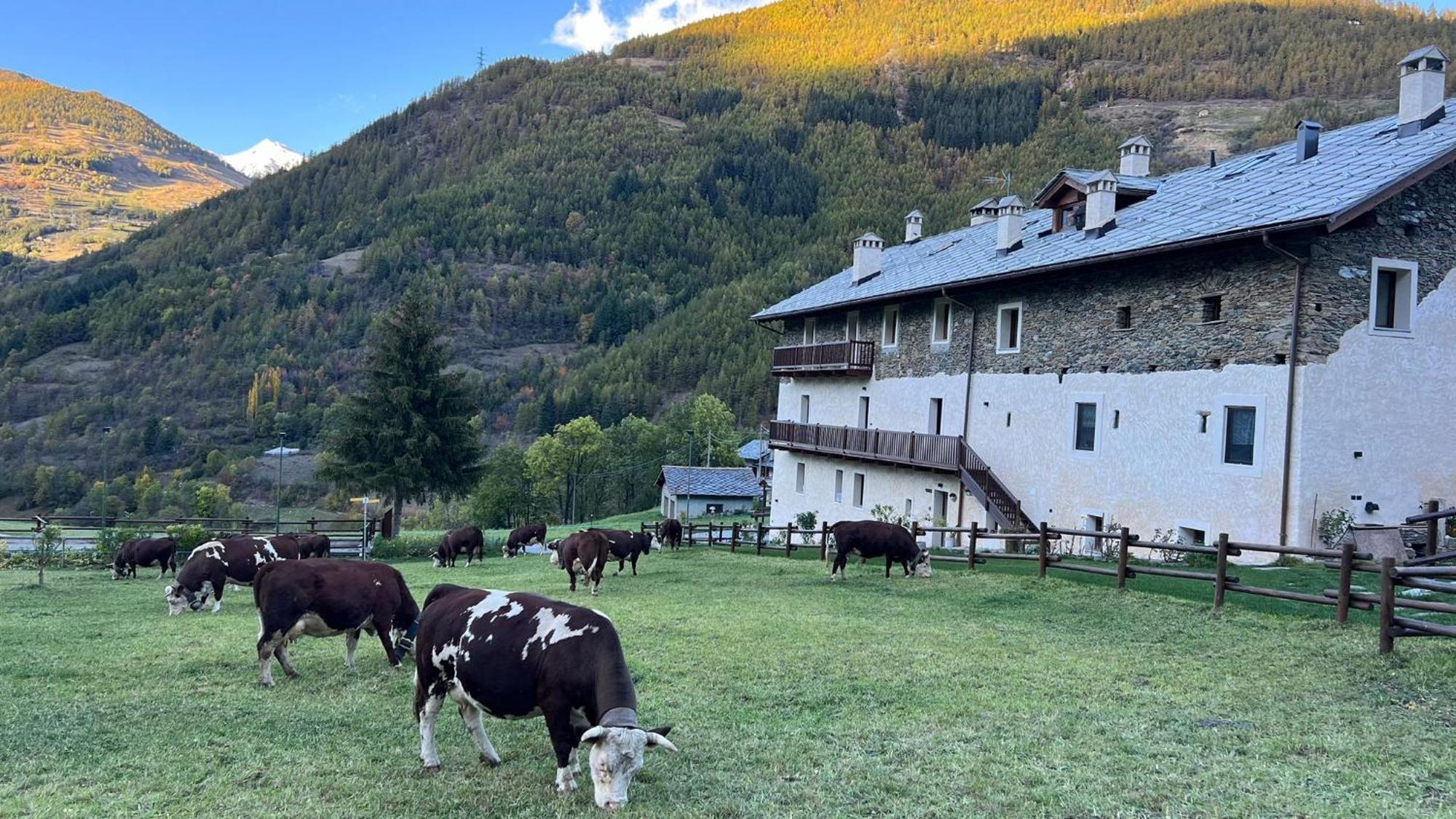 Maison Marcoz - Appartamenti Vacanze Etroubles Zewnętrze zdjęcie